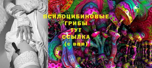 mdma Медвежьегорск